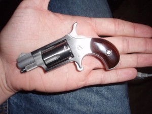 North American 22LR